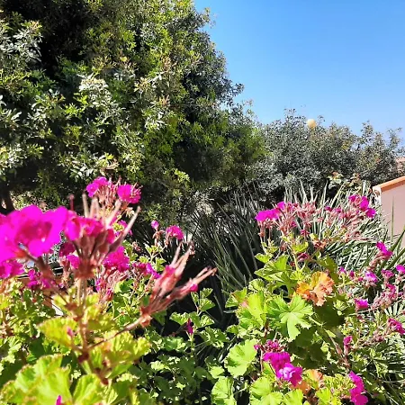 Il Giglio Vista Mare Apartament *